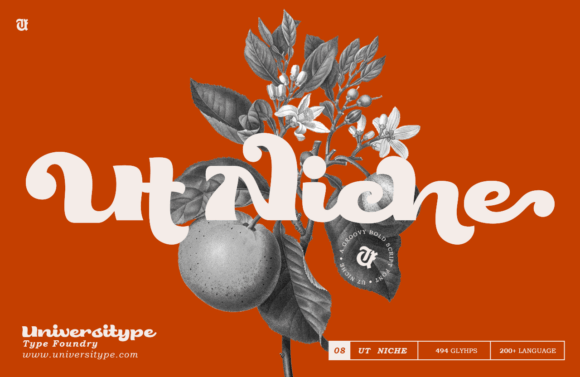 Crafting Elegant Charm with the Ut Niche Font
