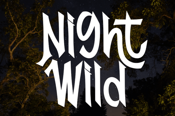 Night Wild: A Friendly Script Font for Modern Web Design